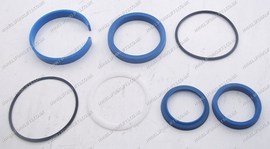 HYSTER HYDRAULIC SEAL KIT (LS3832)