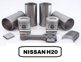 NISSAN H20 ENGINE DATA