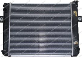 TCM FD20-30T6/T3Z RADIATOR (LS5054)