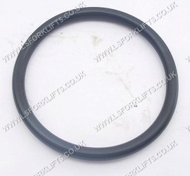 EP O-RING (LS4342)