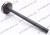 MAZDA XA EXHAUST VALVE (LS6204)