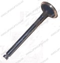 HYSTER EXHAUST VALVE (LS6456)