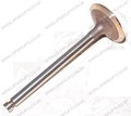 HYSTER INTAKE VALVE (LS6457)