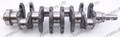 TOYOTA 4Y CRANKSHAFT (LS4267)